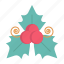 mistletoe, christmas, decoration, xmas, ornament, holiday 