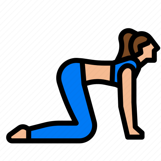Yoga, cat, cow, fitness, woman icon - Download on Iconfinder