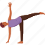 half, moon, ardha, chandrasana, yoga, pose, exercise 