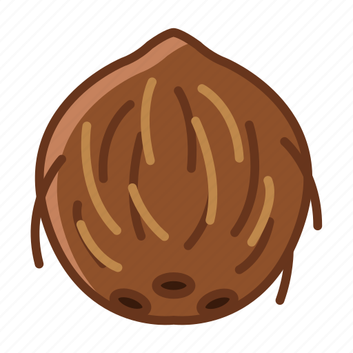 Coconut, fit, fruit, palm, paradise, tropical icon - Download on Iconfinder