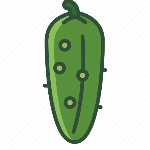 Garden, vegetable, vitamins, bio, cucumber, gherkin icon - Download on Iconfinder