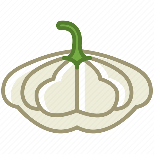 Garden, vegetable, vitamins, bio, gourd, patizon icon - Download on Iconfinder