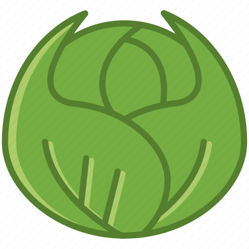 Garden, vegetable, vitamins, bio, cabbage, food icon - Download on Iconfinder