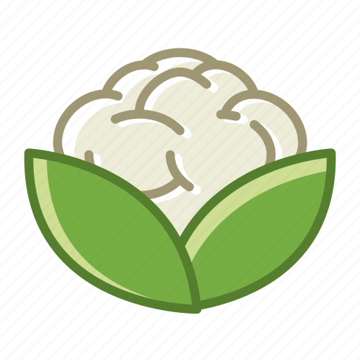 Garden, vegetable, vitamins, bio, cauliflower, food icon - Download on Iconfinder