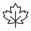 canada, foliage, leaf, leaves, maple 