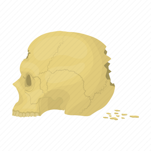 Bone, cranium, human, people, person, profile, skull icon - Download on Iconfinder