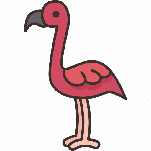 Flamingos, bird, safari, zoo, african icon - Download on Iconfinder