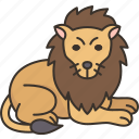 lions, mammal, safari, wildlife, zoo