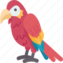 parrot, macaw, bird, animal, jungle
