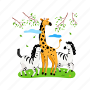 animals, zebra, giraffe, wildlife 