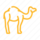 camel, animal, zoo, animals, birds, snake