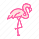 flamingo, bird, zoo, animals, birds, snake