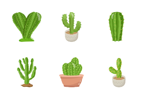 50 Cactus Illustration Set