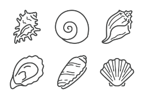 64px: Seashells