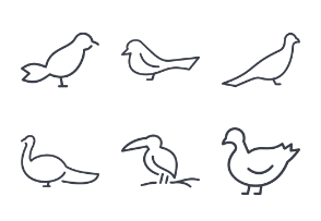 Birds thinline