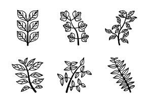 Branches and Leaves