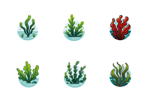 Colourful Seaweeds