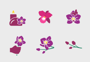 Orchid flowers theme