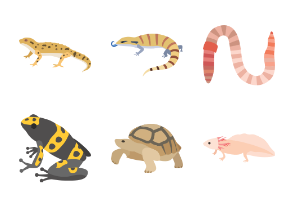 Reptiles & Amphibians color