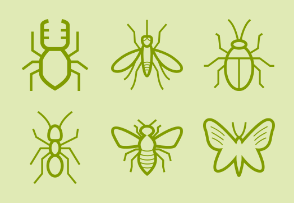 Simple Insects